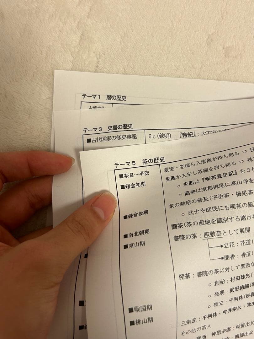 坂本勝義 河合塾 日本史 通史・文化史・テーマ史全プリント
