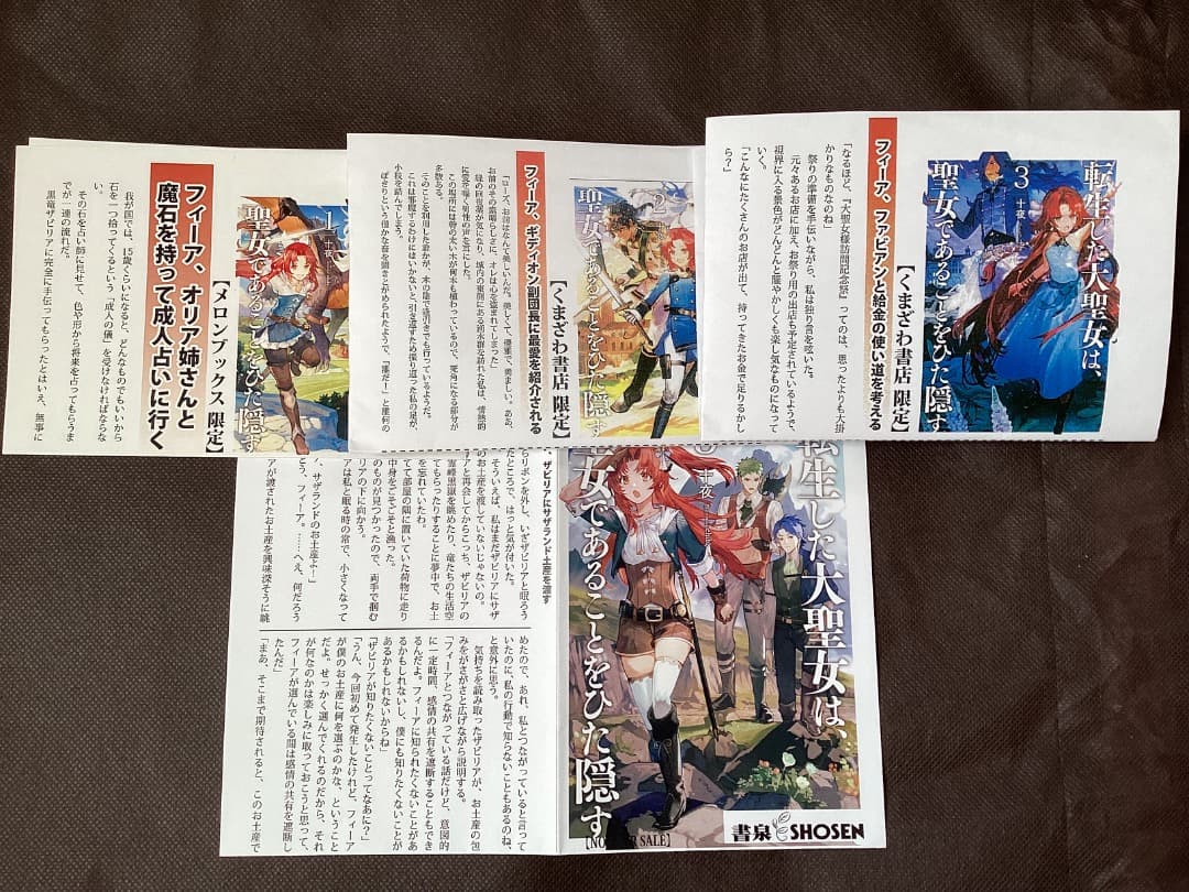 特典　転生した大聖女は聖女であることをひた隠す1〜12巻&ZERO2〜6巻 十夜