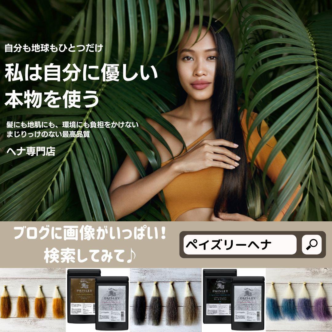 Y品【最高AAAランク高品質ヘナ】ヘナ白髪染め　オレンジ300g