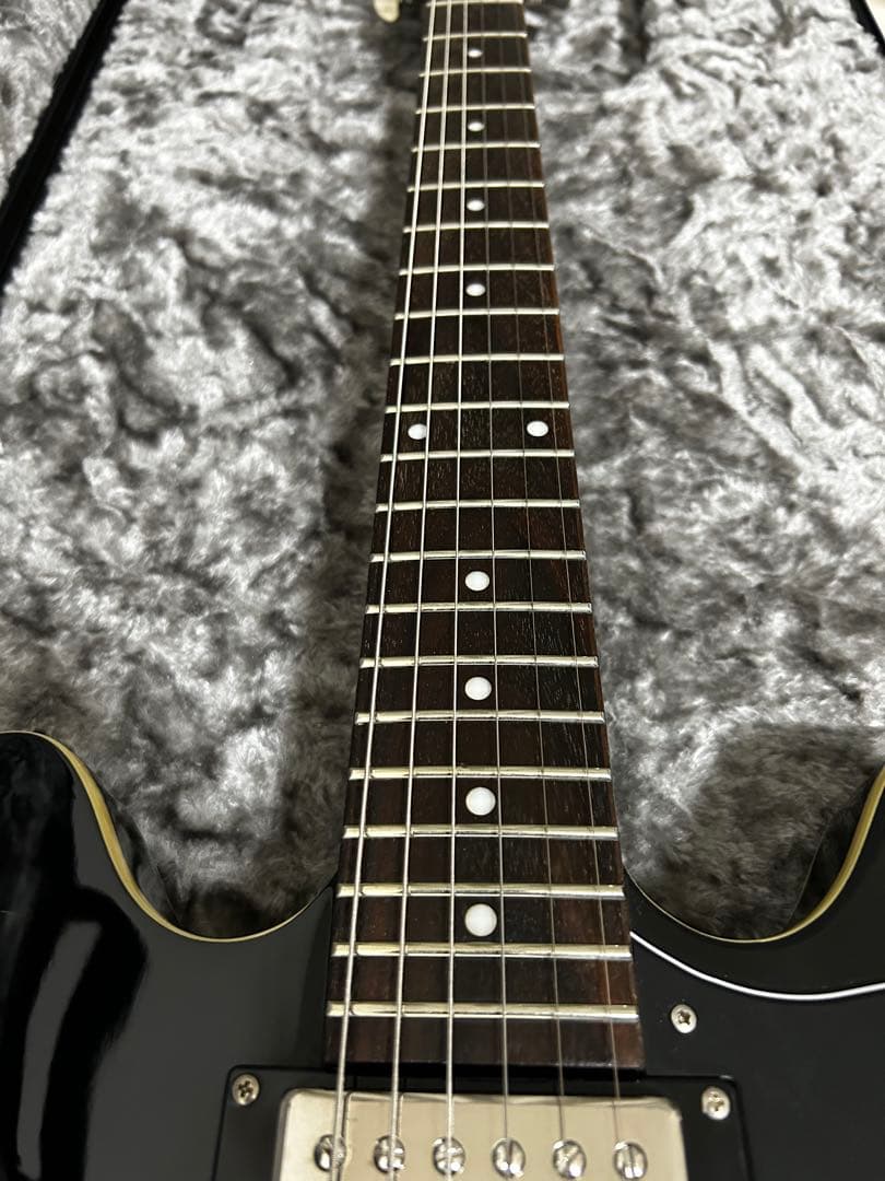 【大幅値下げ早い者勝ち】極上品Epiphone DOT EB セミアコ