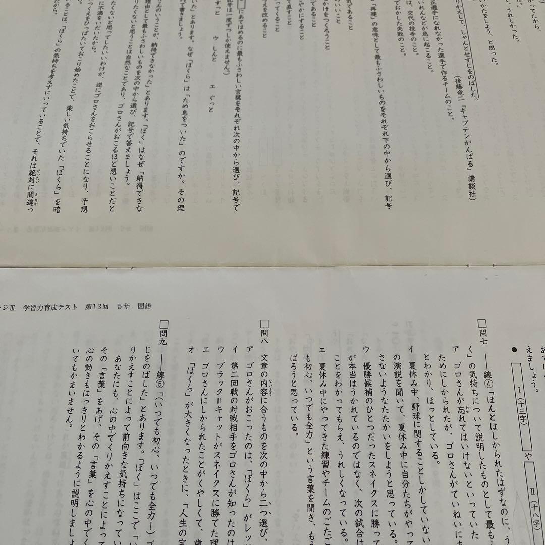 2025年❗️日能研 5年 ステージⅢ育成テスト13回14回15回