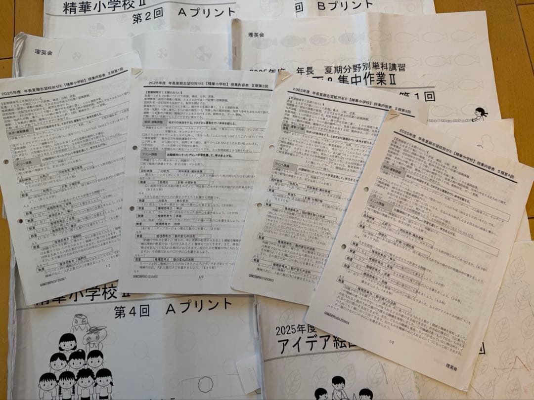 （イチゴラバー）精華ゼミ年長7月、夏期講習、秋季講習
