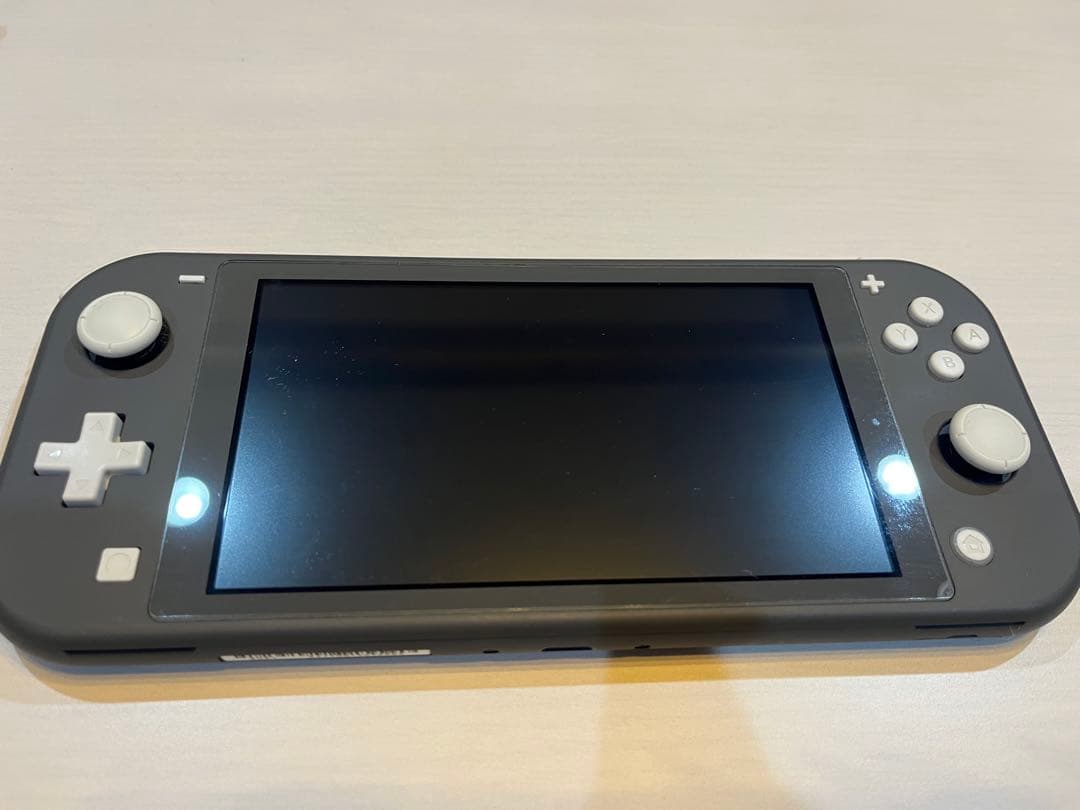 Nintendo Switch Lite グレー 本体 ケース　動作確認済