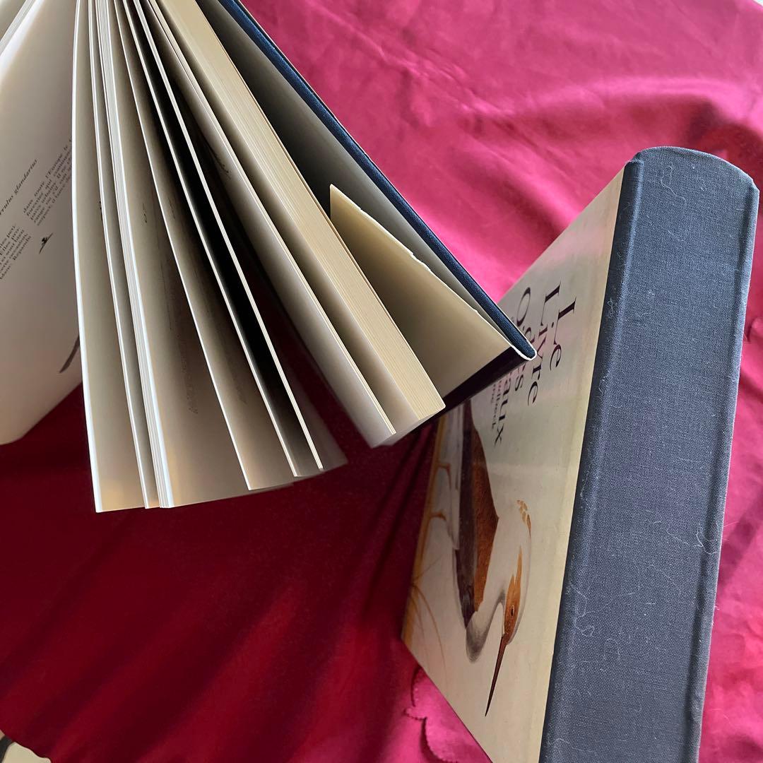 洋書 LE LIVRE DES OISEAUX d'Olof Rudbeck