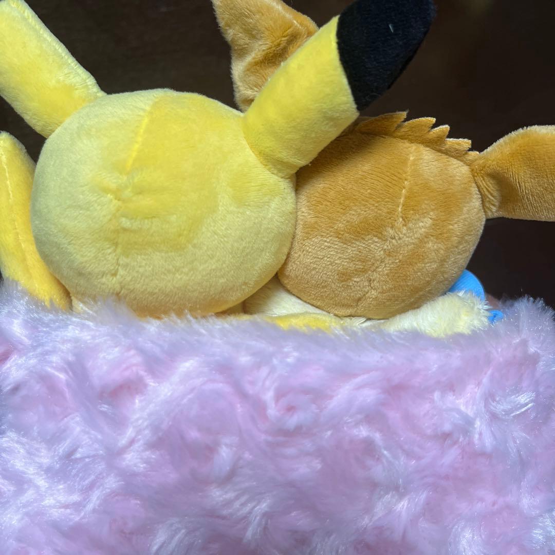 ぬいぐるみ シーズン ピカチュウ＆イーブイ 冬