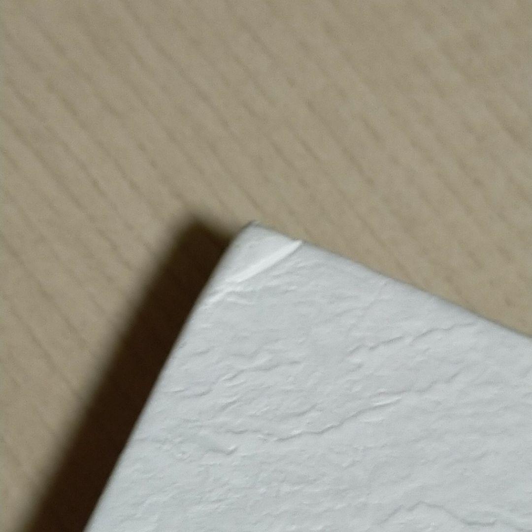 white noise 初回生産限定盤A
