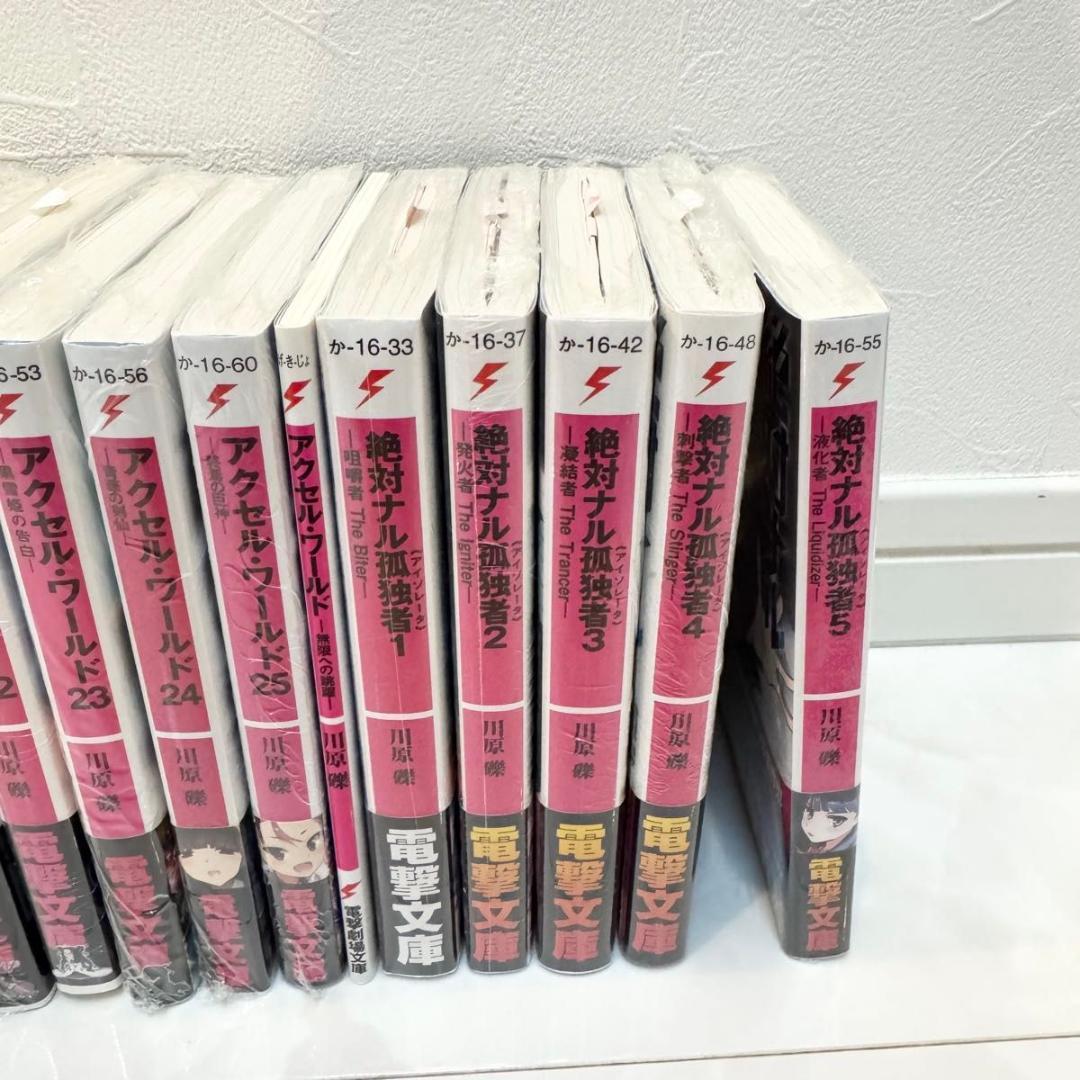 アクセル・ワールド 絶対ナル孤独者アイソレータ　電撃文庫 まとめ売り24冊セット