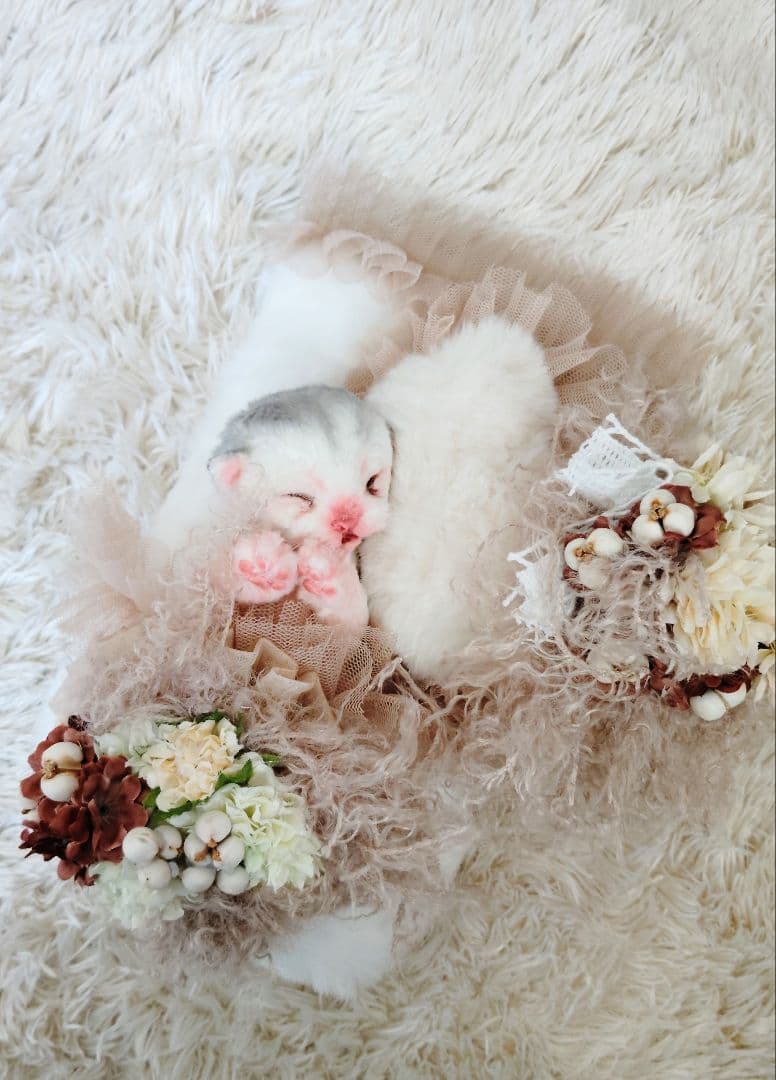 生後１日♡生まれたて子猫ちゃん♡おねんねセット♡アートドール♡ぬいぐるみ♡