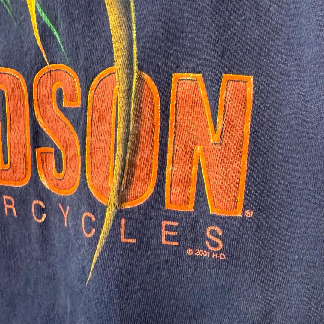 Harley Davidson ハーレーダビッドソン ドラゴンＴシャツ デカプリ
