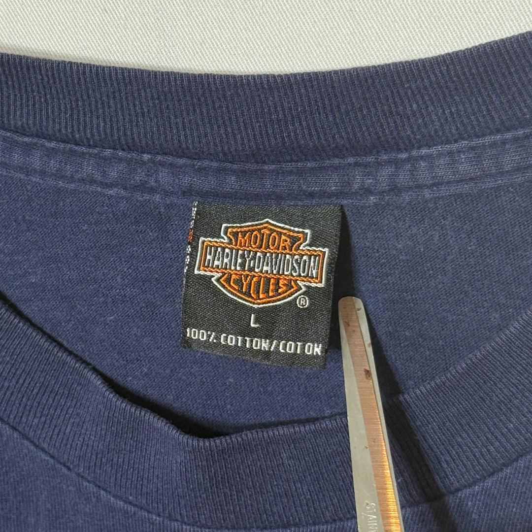 Harley Davidson ハーレーダビッドソン ドラゴンＴシャツ デカプリ