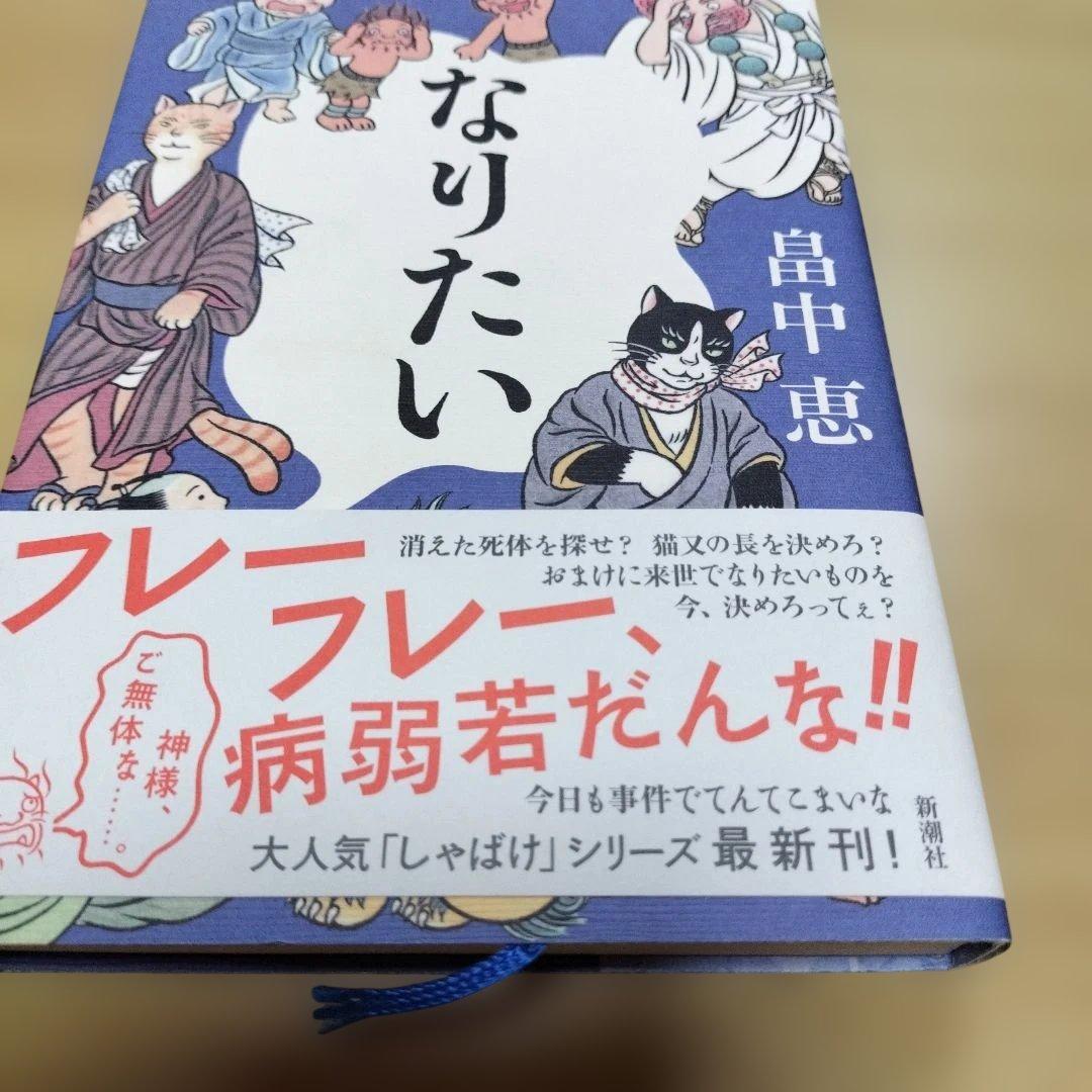 畠中恵　シリーズ本　１１冊