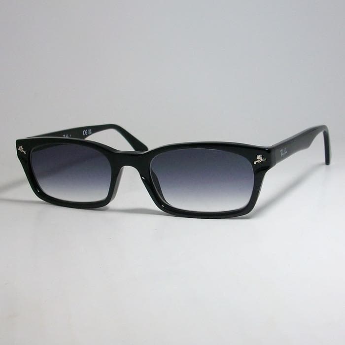 【ReVision】 RB5017A-2000-REGGY レイバンサングラス