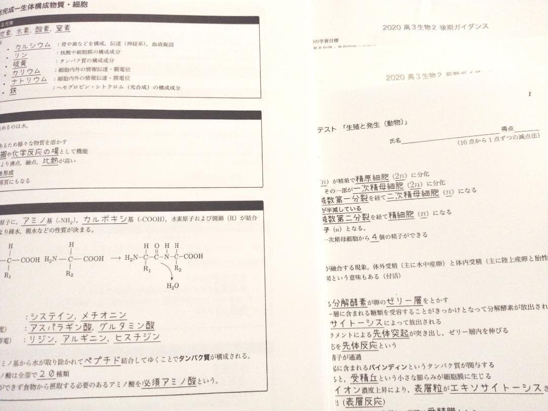 鉄緑会の生物知識の総完成冊子と確認テストと20年生物ガイダンス　李・栁沼先生