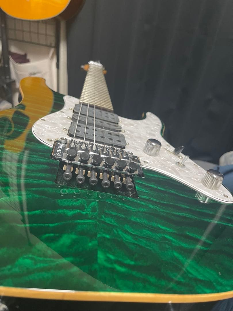 シェクター/schecter SD-2-24 限定モデル