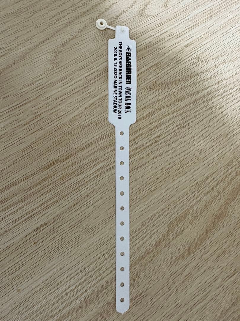 【希少品・超美品】ELLEGARDEN復活ライブ　入場リストバンド