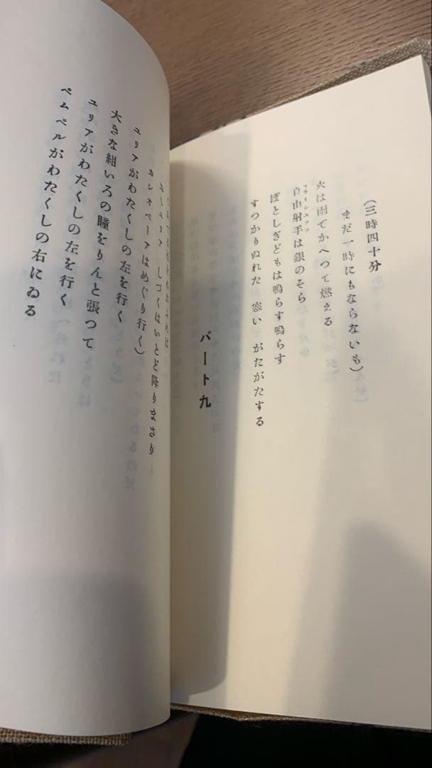 【保護函付】春と修羅 宮沢賢治 名著複刻全集　近代文学館