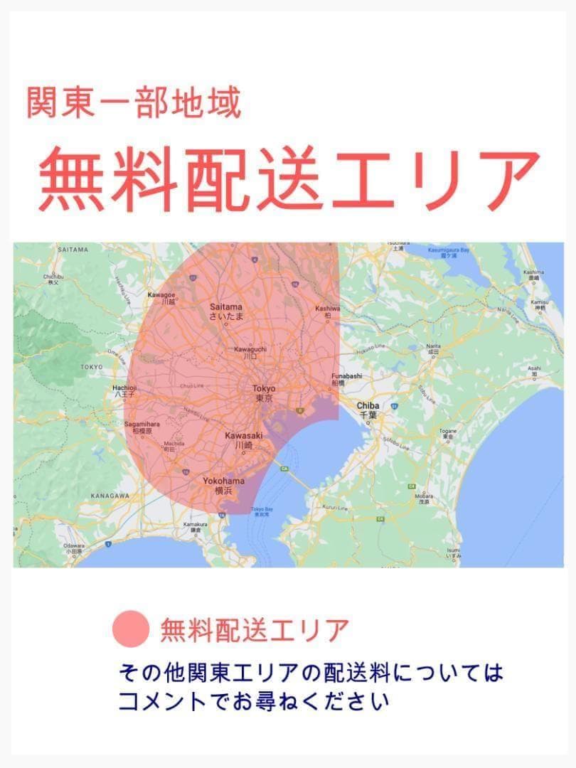 大容量 ホワイト系 人気NO１ パナソニック子供乗せ電動アシスト H2815