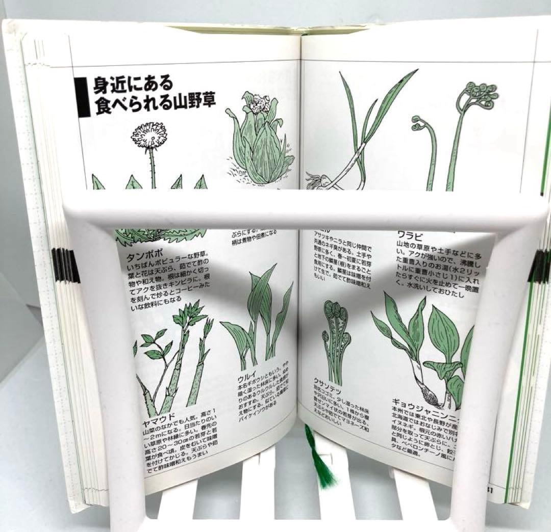 【2冊セット】野外生活の基礎知識 & アウトドア料理