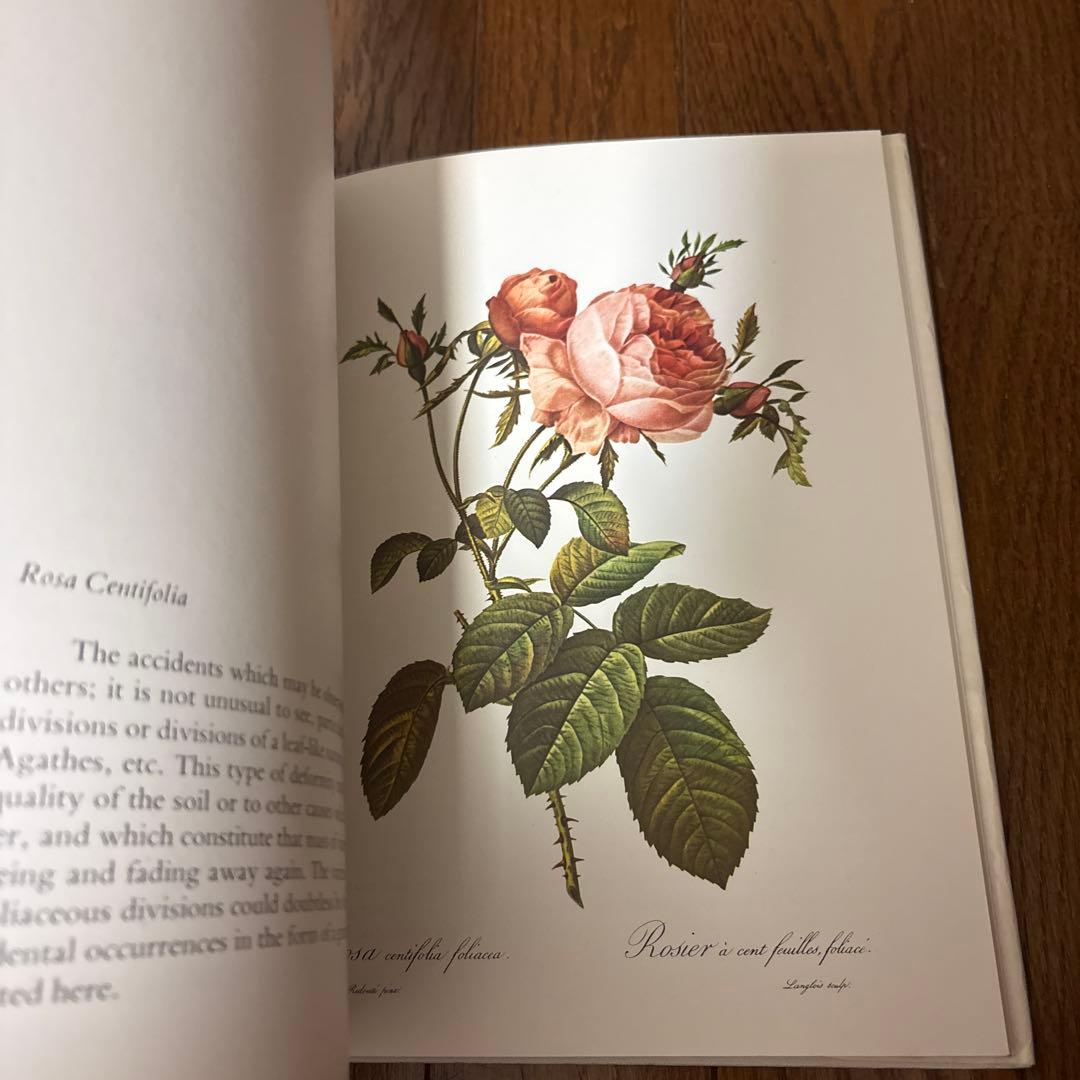 P.J. REDOUTÉ Roses アートブック