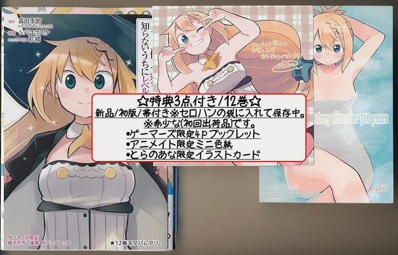 スライム倒して300年、知らないうちにレベルMAXになってました1-17+4冊