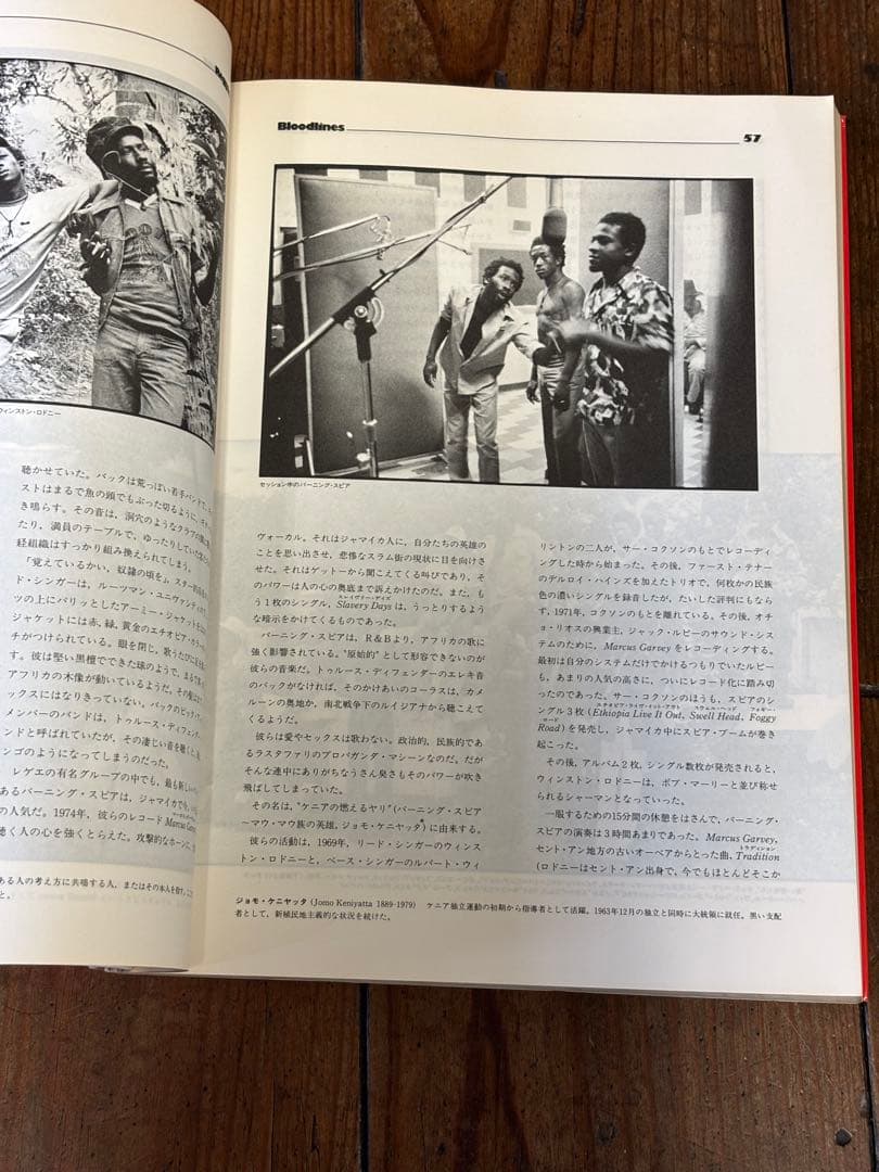 アート・デザイン・音楽 REGGAE BLOODLINES