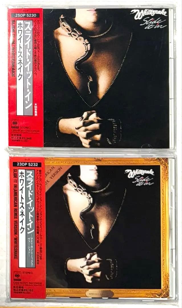 国内盤2枚セット！WHITESNAKE/ホワイトスネイク/スライド・イット・イン