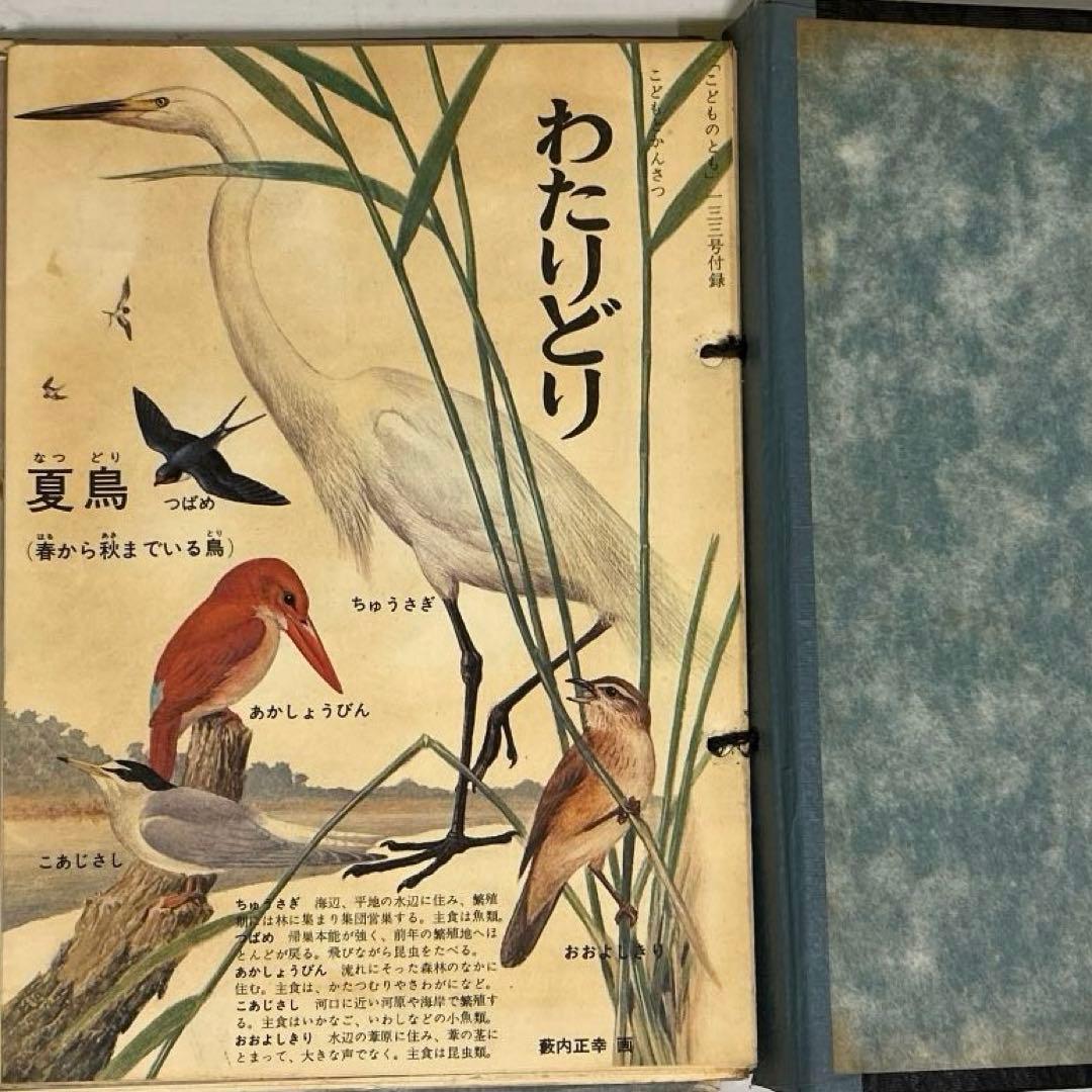 こどものとも 付録 藪内正幸画