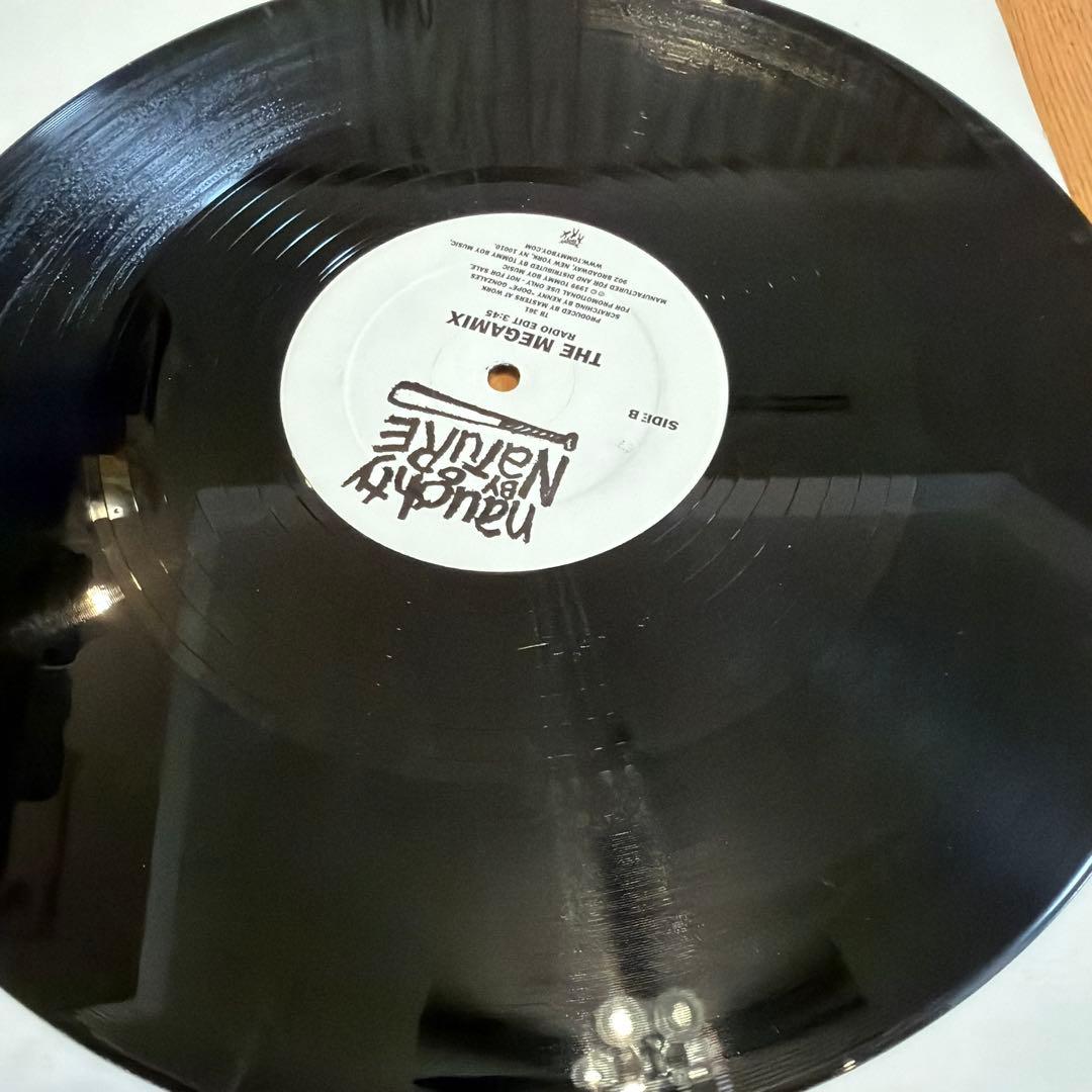 Naughty By Nature 12インチシングル 5枚セット