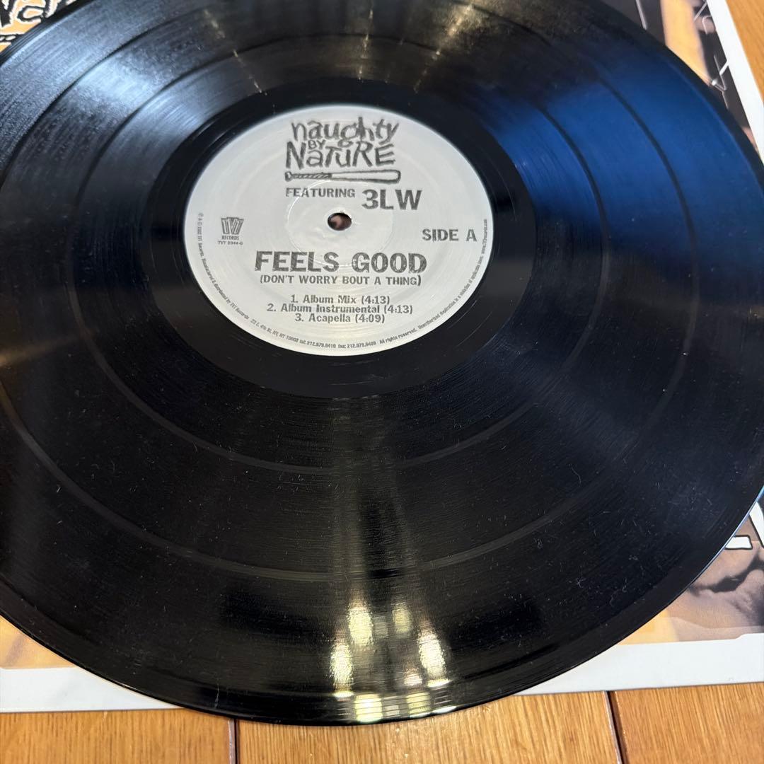 Naughty By Nature 12インチシングル 5枚セット