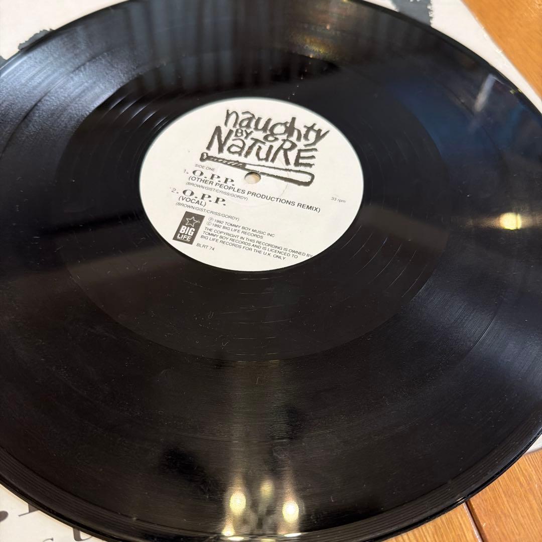 Naughty By Nature 12インチシングル 5枚セット