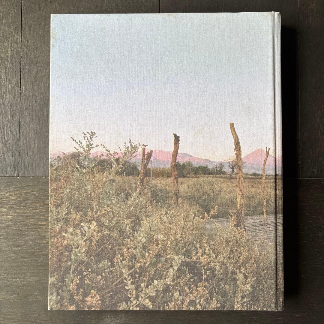 アート・デザイン・音楽 Teresa Moller Unveiling the landscape
