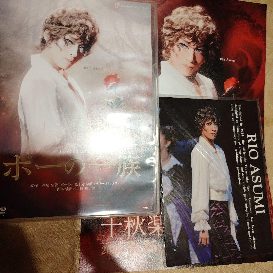 花組 ミュージカル・ゴシック ポーの一族DVD チラシ ブロマイド
