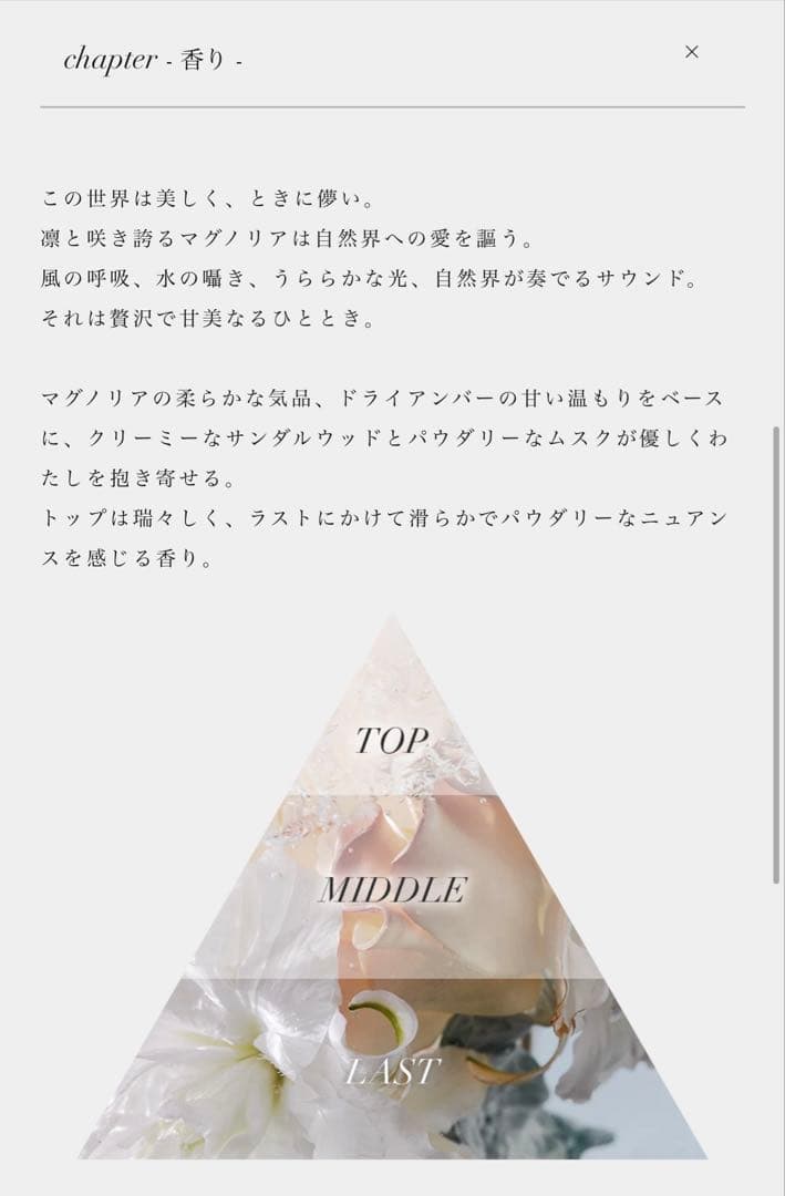 Aiam 香水セット　chapter 8&65