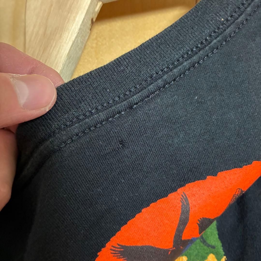 希少　patagonia Tシャツ　絶滅危惧種　USA製