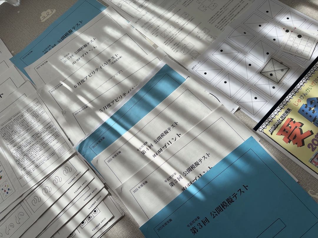 桐杏学園小学校受験プリント総合まとめ&教育図書21受験絵画＆こぐまなでしこ教室