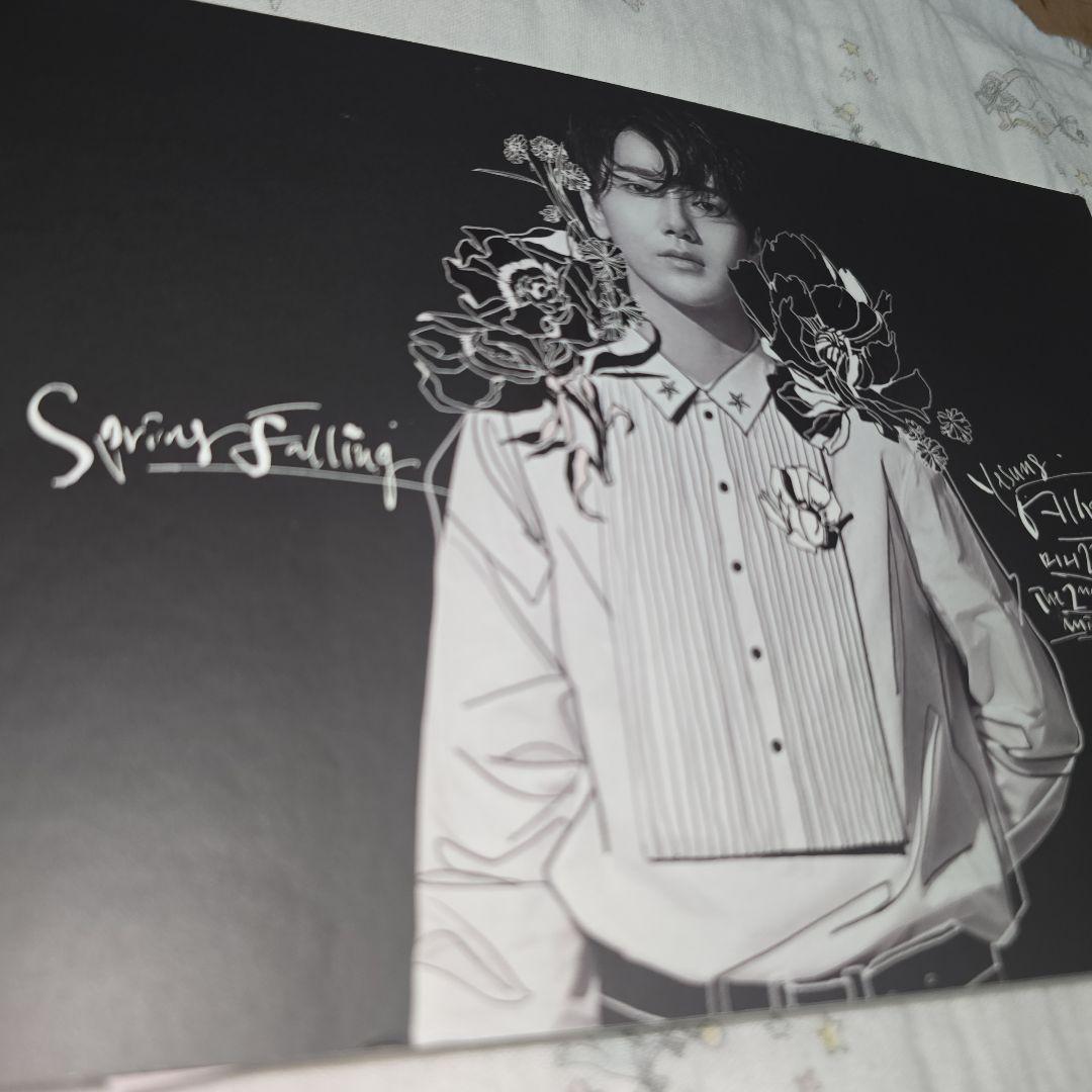 美品 YESUNG Spring Falling CD 写真集 黒 トレカ付き
