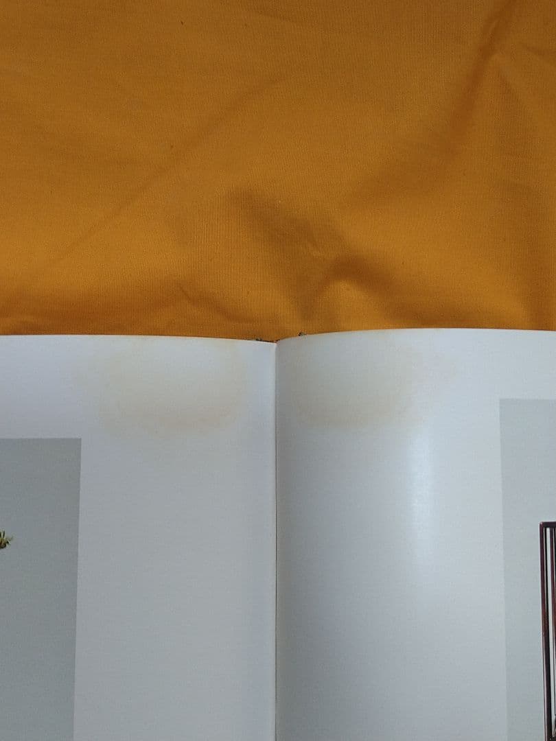 【限定版】松平家に生きる珠玉の名品　小品盆栽　日本盆栽協会創立十周年記念出版