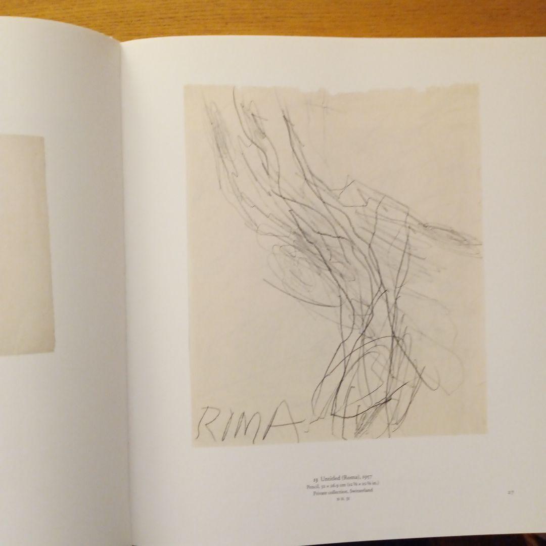 The Essential Cy Twombly　サイ・トゥオンブリー 画集