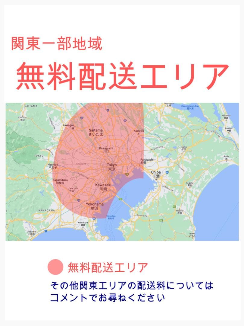 2020 王様 ギュットアニーズ子供乗せ電動アシスト自転車 H3701