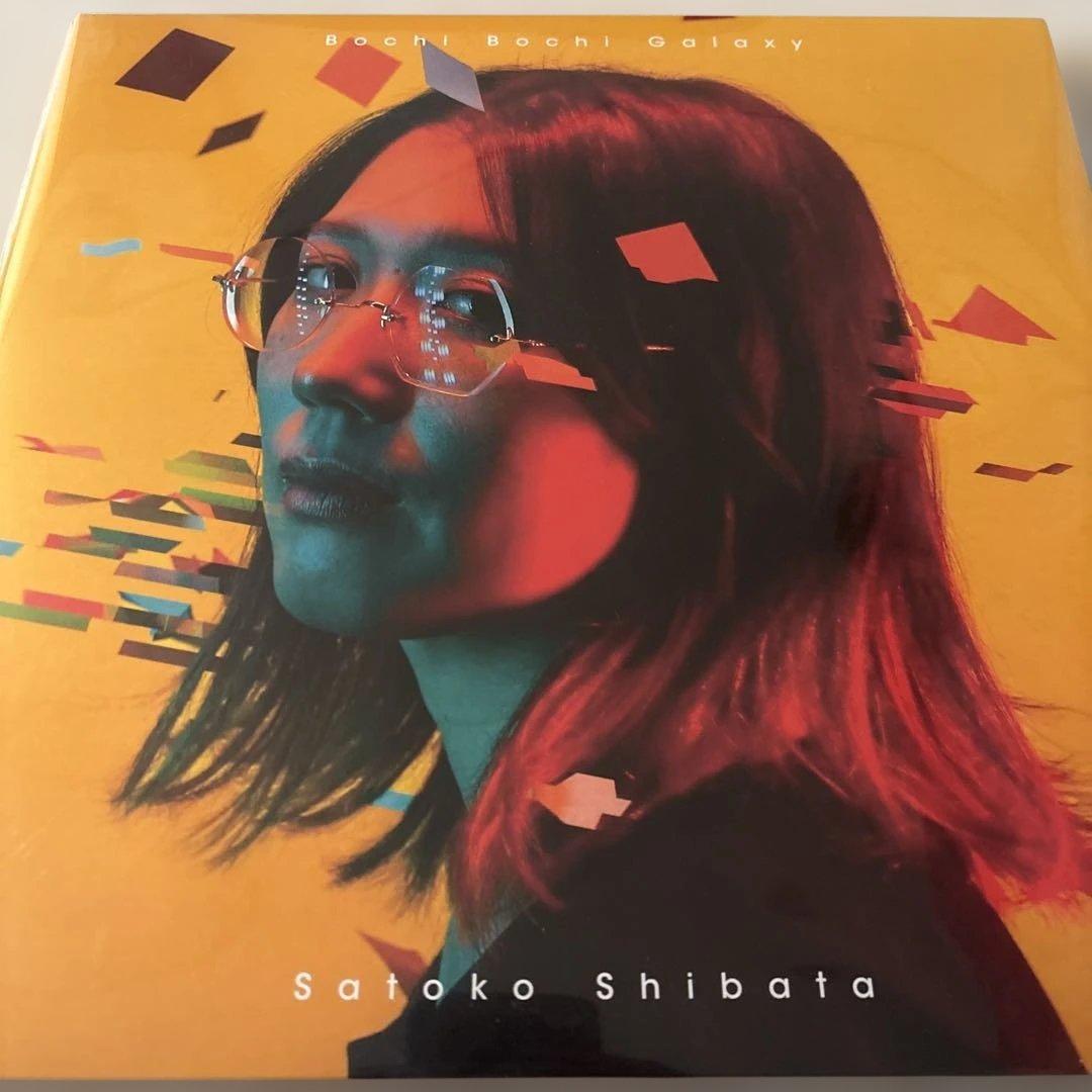柴田聡子「ぼちぼち銀河」 LP アナログレコード