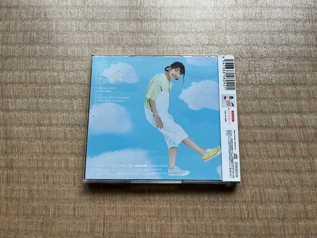 彼女、お借りします　season3 3期　DVD