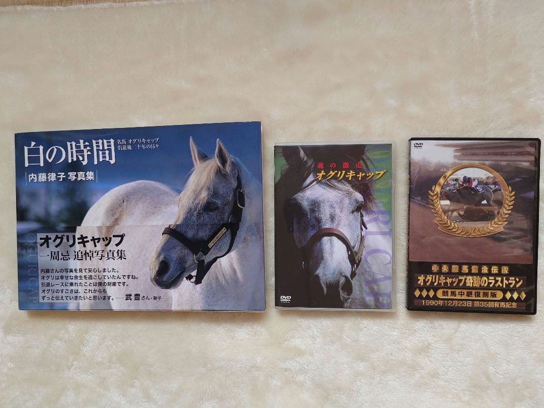 競馬 DVD 13枚　写真集1冊