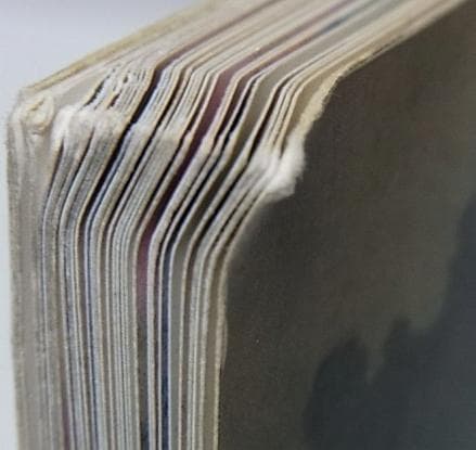 中国画 洋書 図録「趙国経 王美芳 作品選」