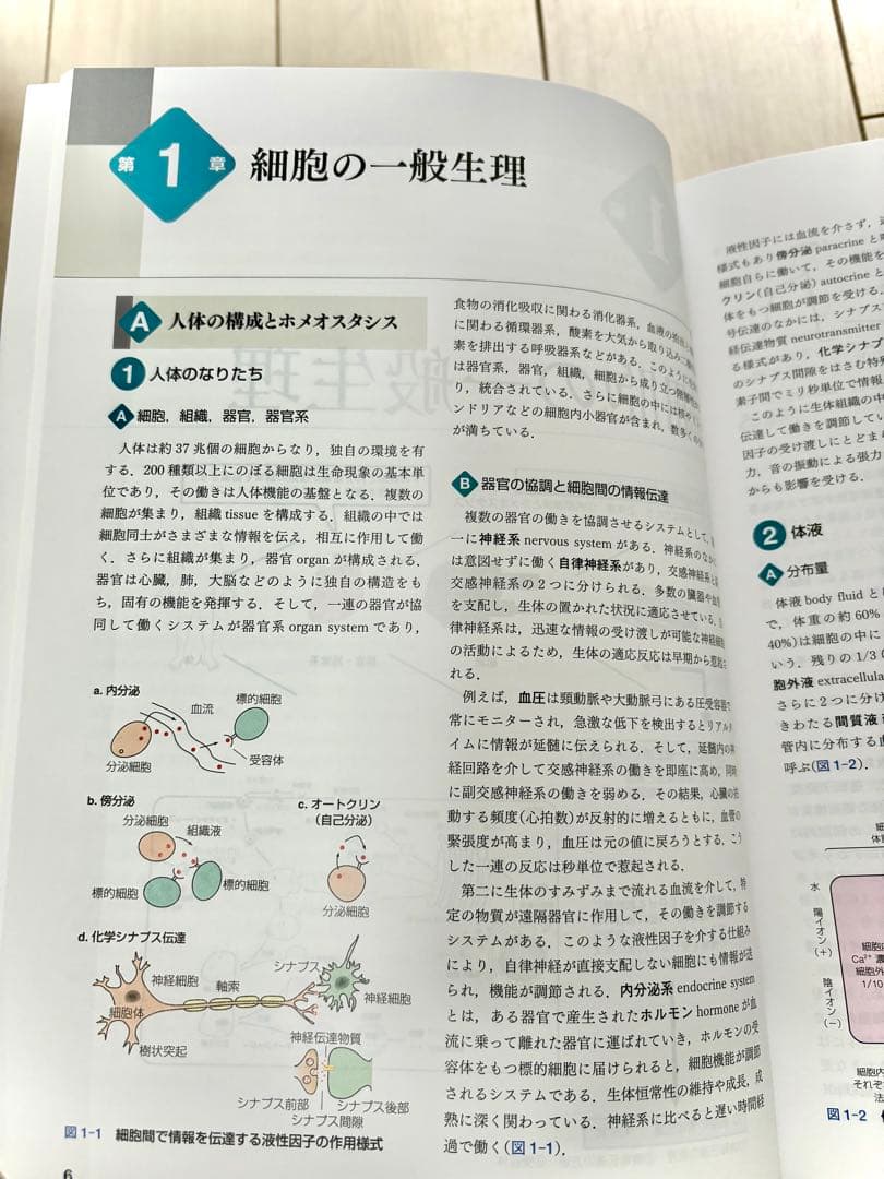 標準生理学 第10版【最新版】帯付き