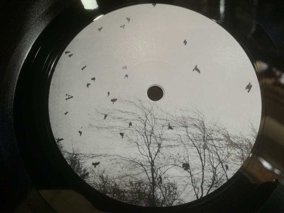 洋楽 ANTLERS - A Gaze into the Abyss