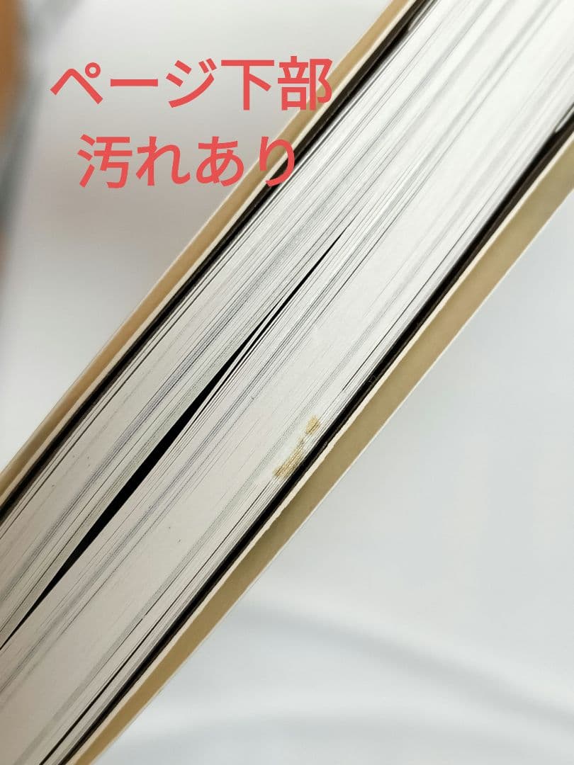 【写真更新・値下】近藤喜文の仕事
