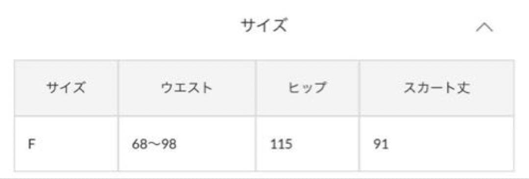 RIVE DROITE(リヴドロワ) 名品 コットンワッシャープリーツスカート