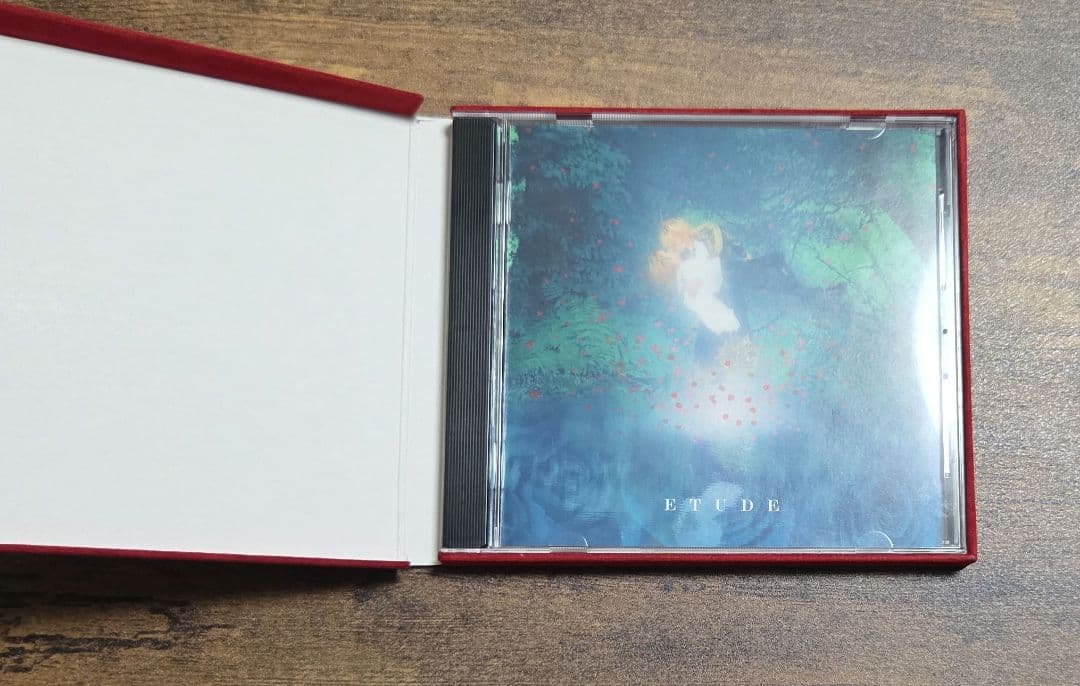 【廃盤】Versailles　LAREINE　まとめ売り KAMIJO