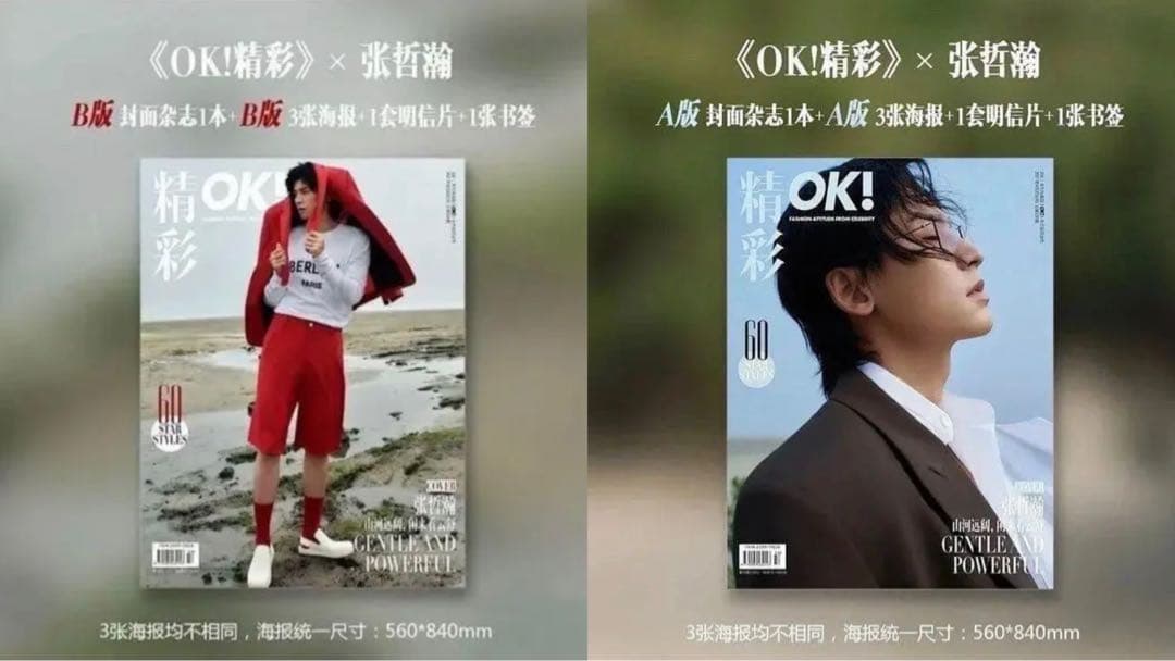 張哲瀚 雑誌切り抜きセット 山河令