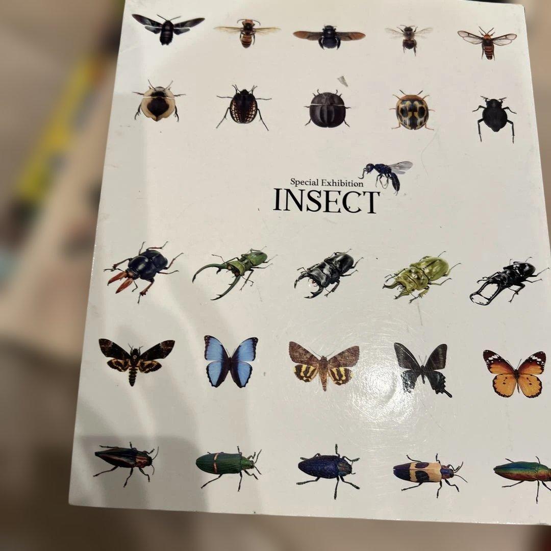 カブトムシ　クワガタムシ　昆虫　図鑑など